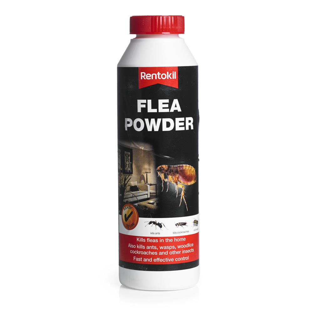 Rentokill Flea Powder 300g Wilko