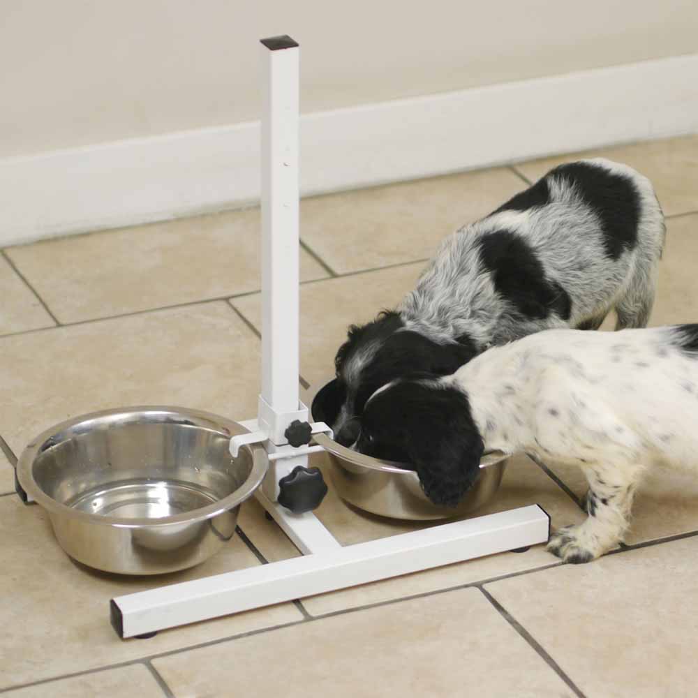 Rosewood Stainless Steel Double Diner Set for Dogs  2.25L Image 3