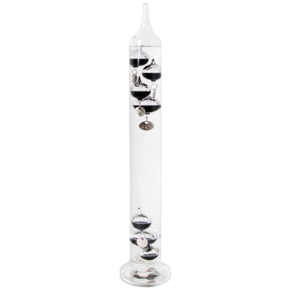 Fallen Fruits Medium Galileo Thermometer Image