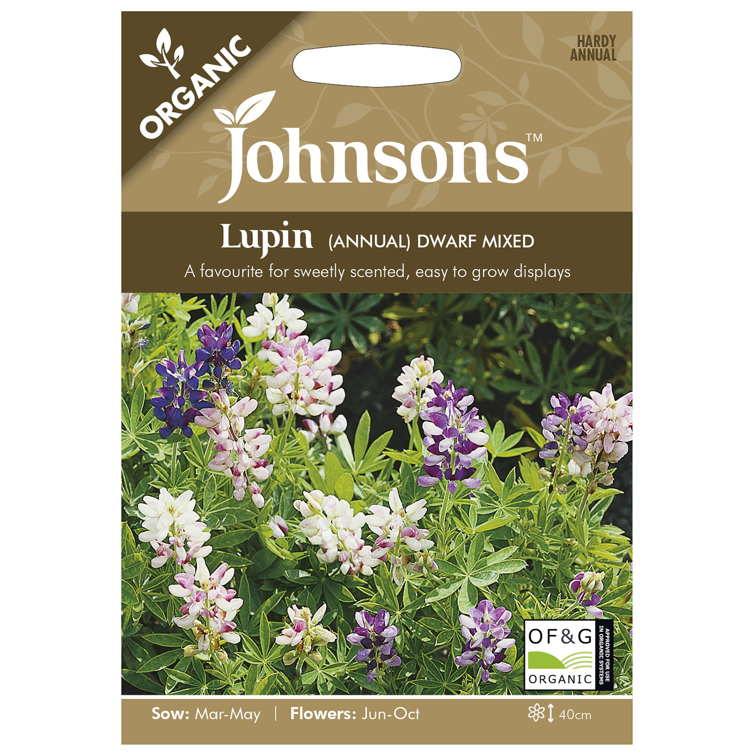Johnsons Lupin Annual Dwarf Mixed Image 1
