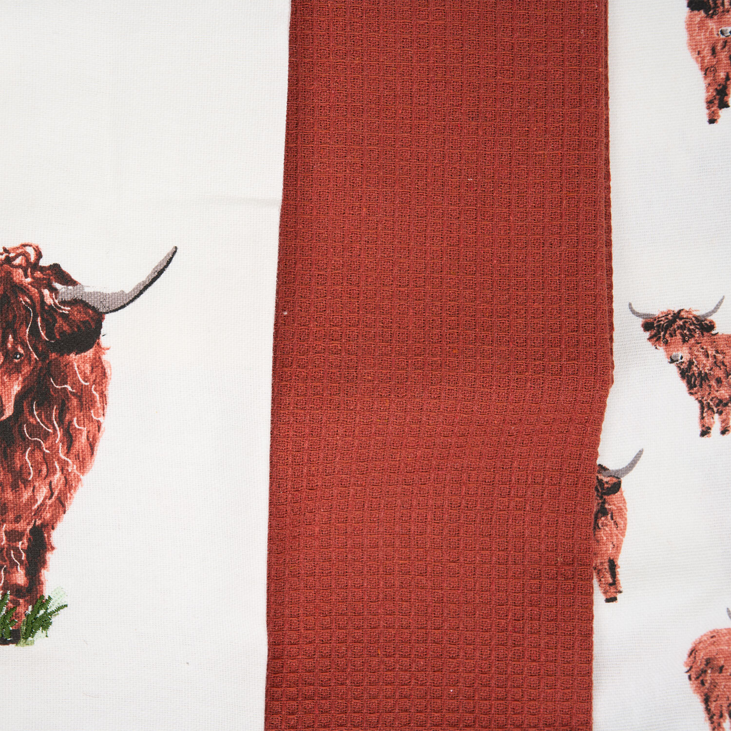 Pack of 3 Highland Cow Design Tea Towels Image 4