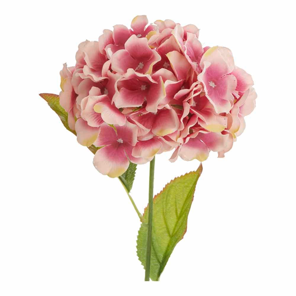 Wilko Hydrangea Pink Single Stem Image 1