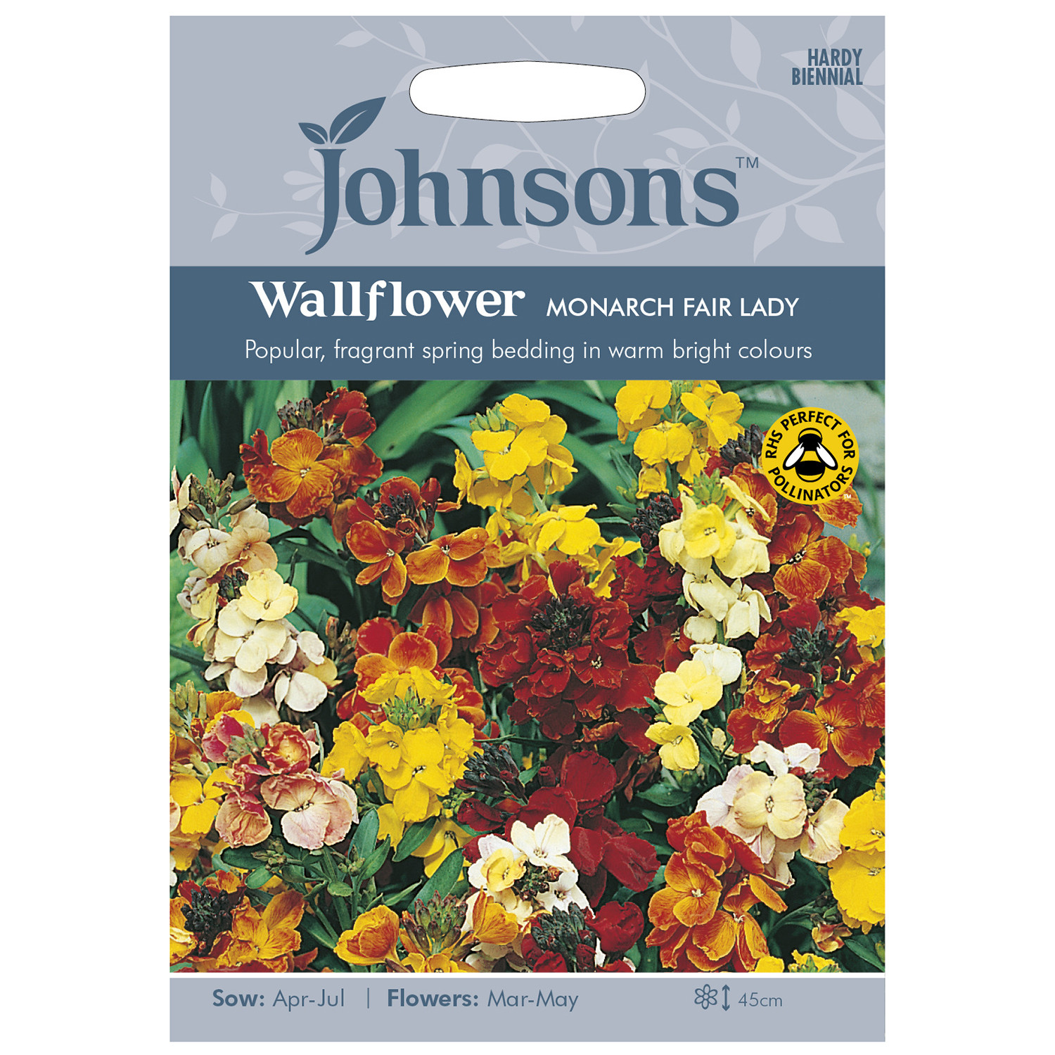 Johnsons Pack of Monarch Fair Lady Wallflower Seeds Image