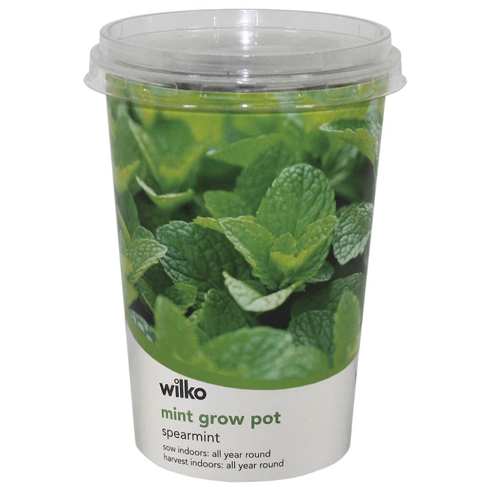 Wilko Mint Herb Pot Image 1