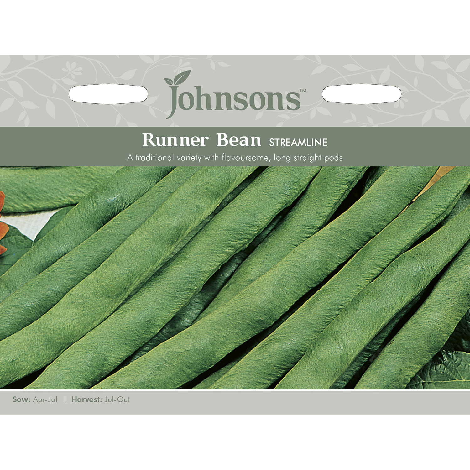 Johnsons Streamline Runner Bean Seeds Image 2