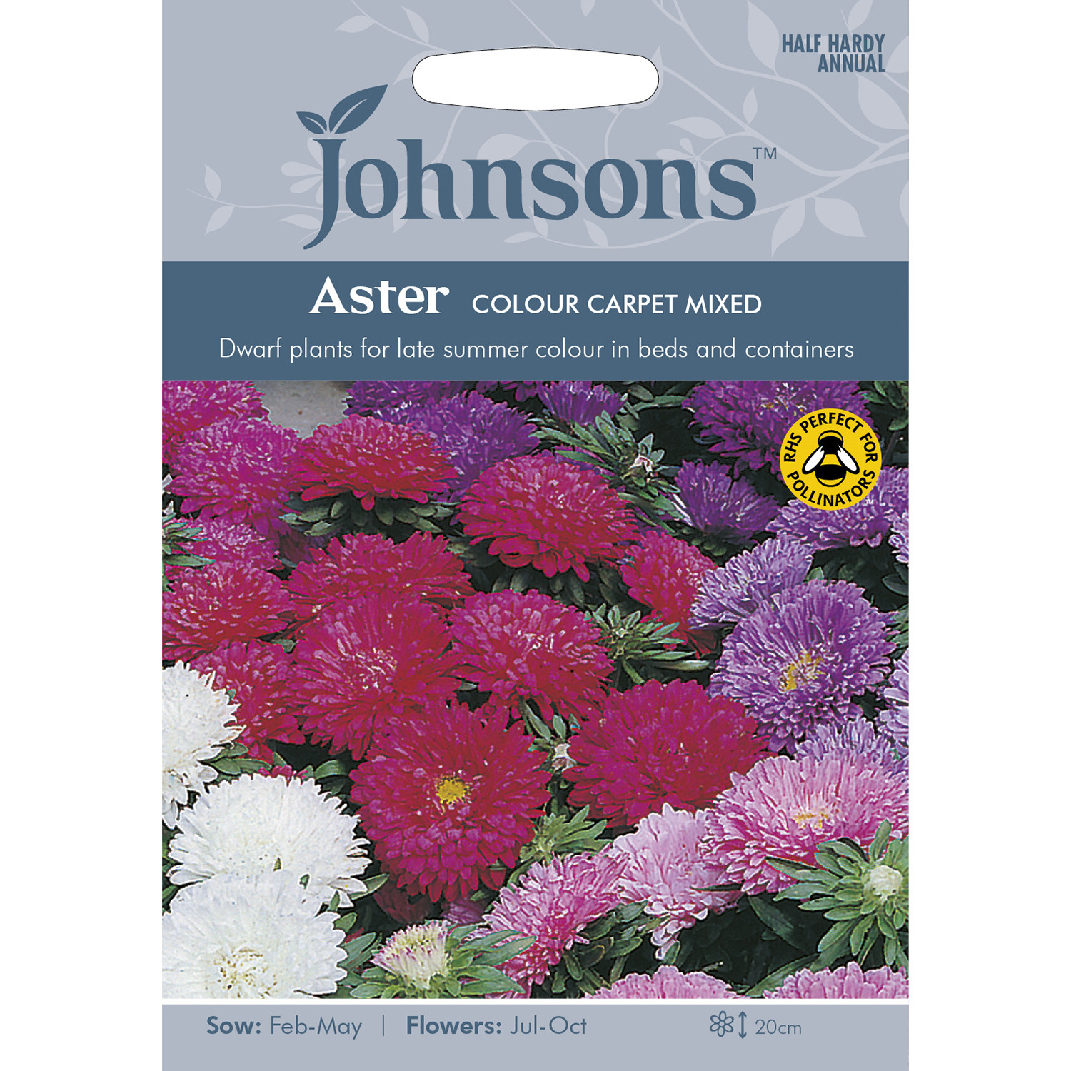 Pack of Aster Colour Carpet Mixed Seeds Image 1