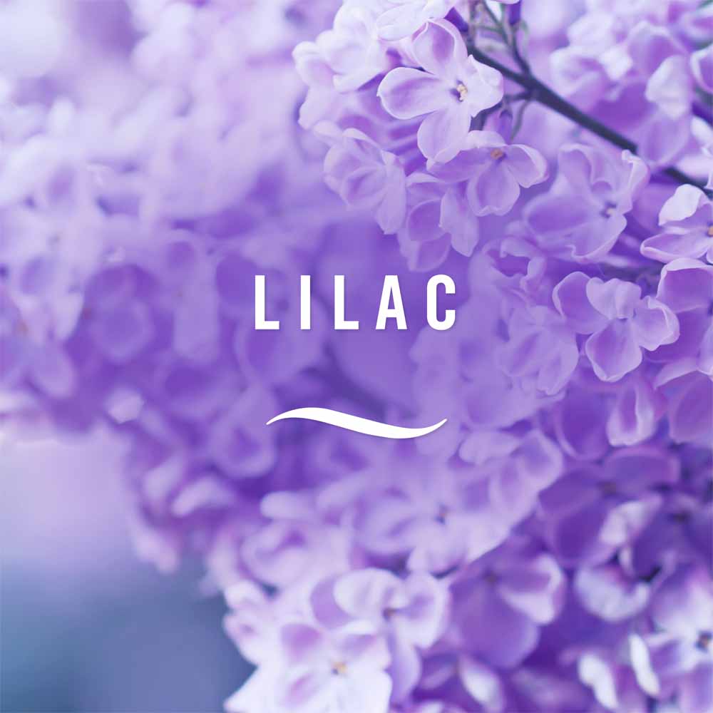 Febreze Bathroom Lilac & Violet Air Freshener Image 2