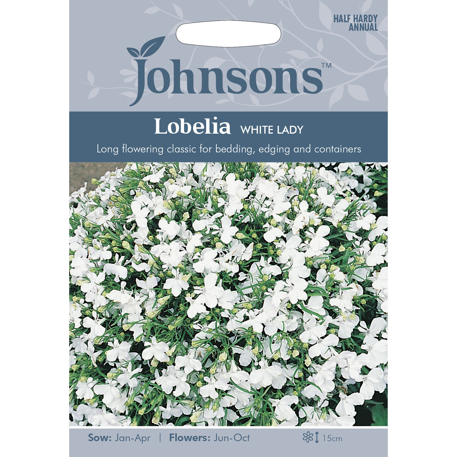 Johnsons Lobelia White Lady Flower Seeds Image 2