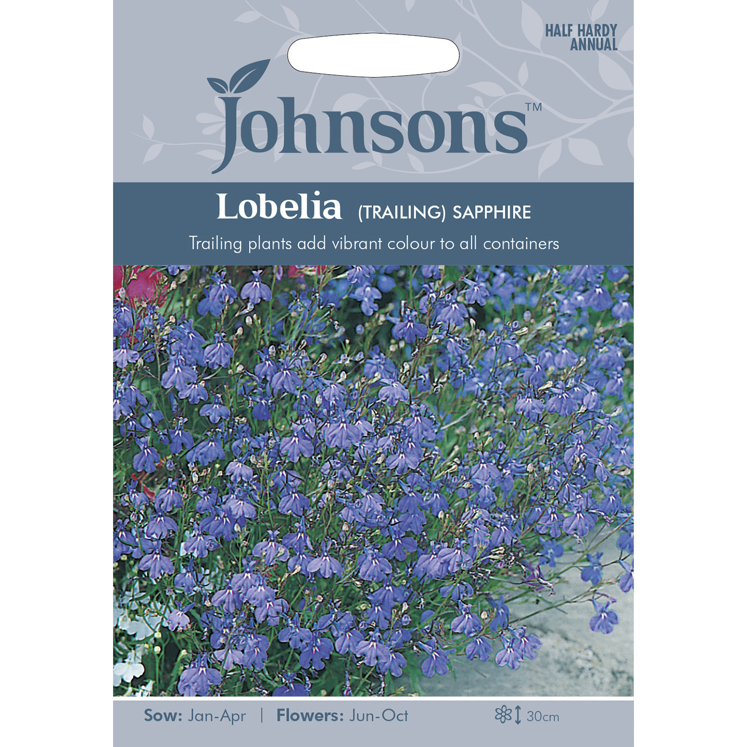 Johnsons Trailing Lobelia Sapphire Flower Seeds Image 2
