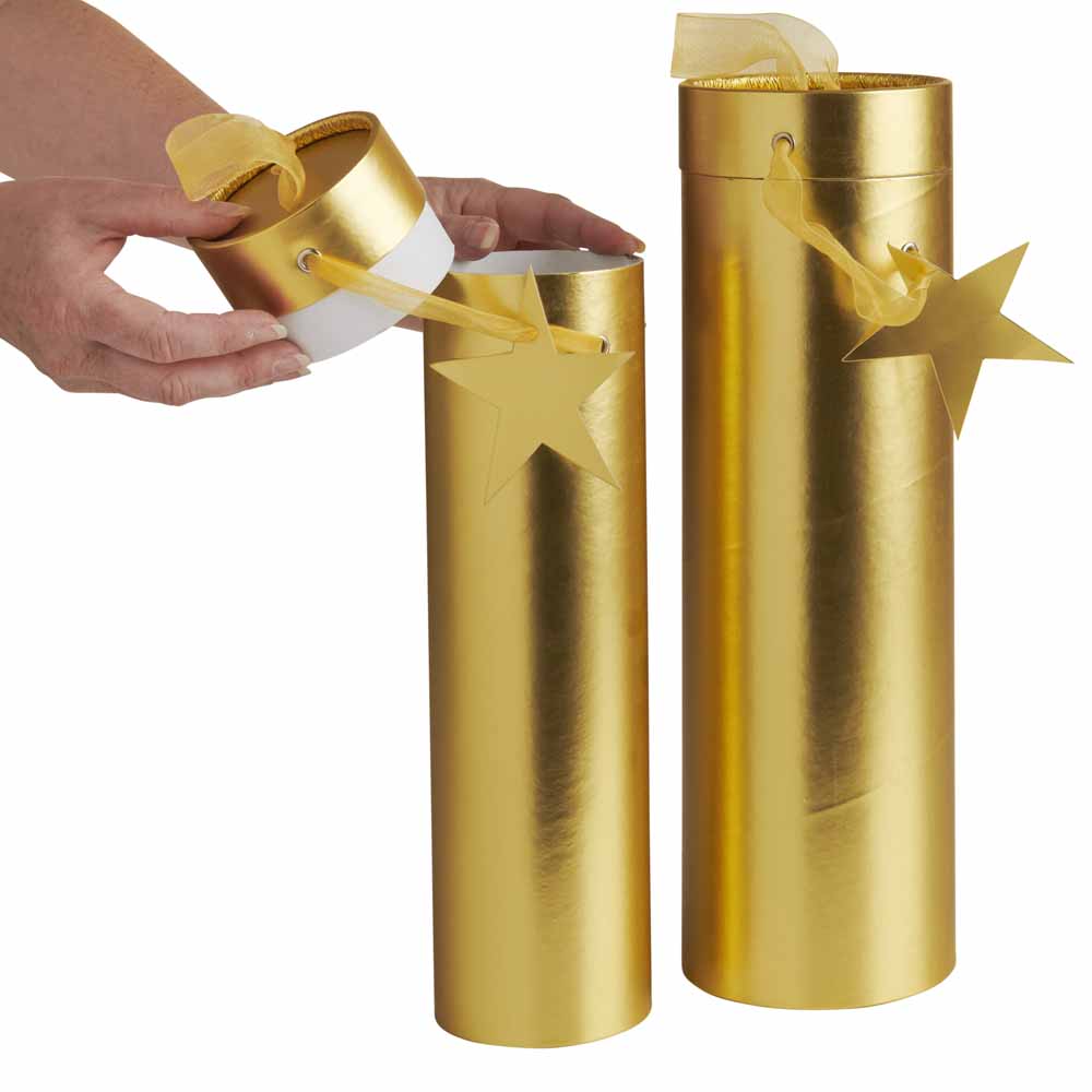 Wilko Twin Pack Bottle Tube Wilko