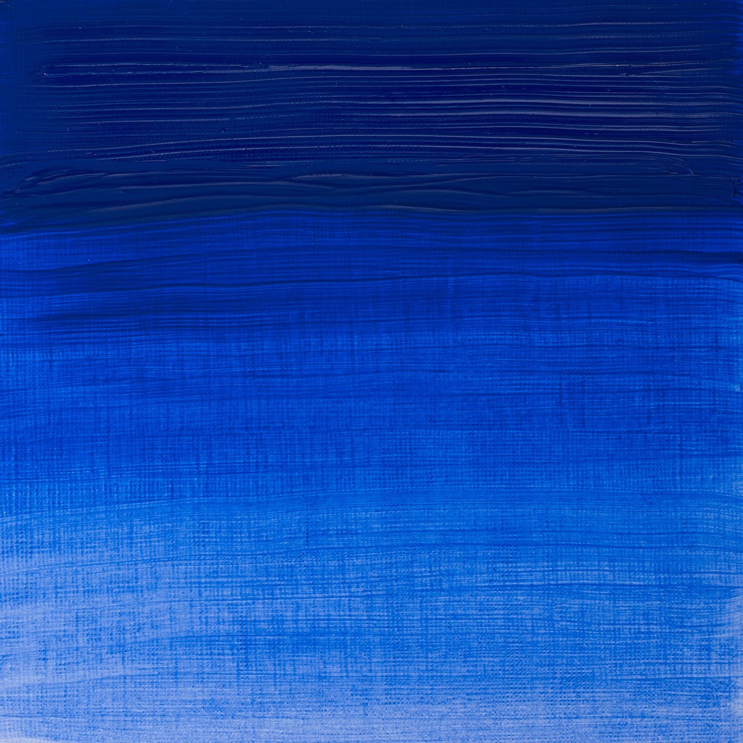 Winsor and Newton Cobalt Blue Artists' Oil Colour 37ml Image 2