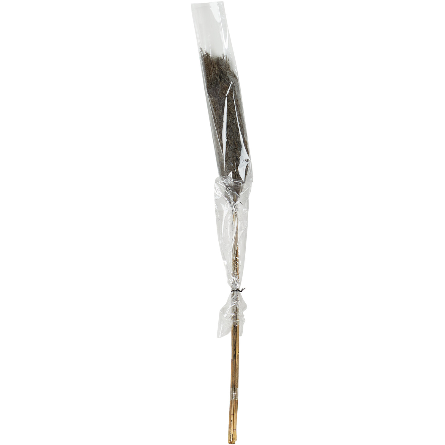 Pack of 5 Pampas Stems - Grey Image 2