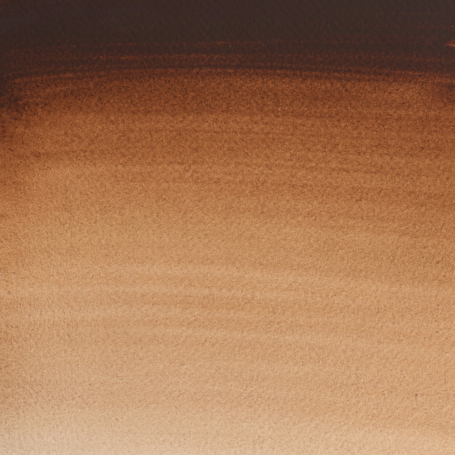 Winsor and Newton Cotman Watercolour Paint 21ml - Burnt Umber Image 2