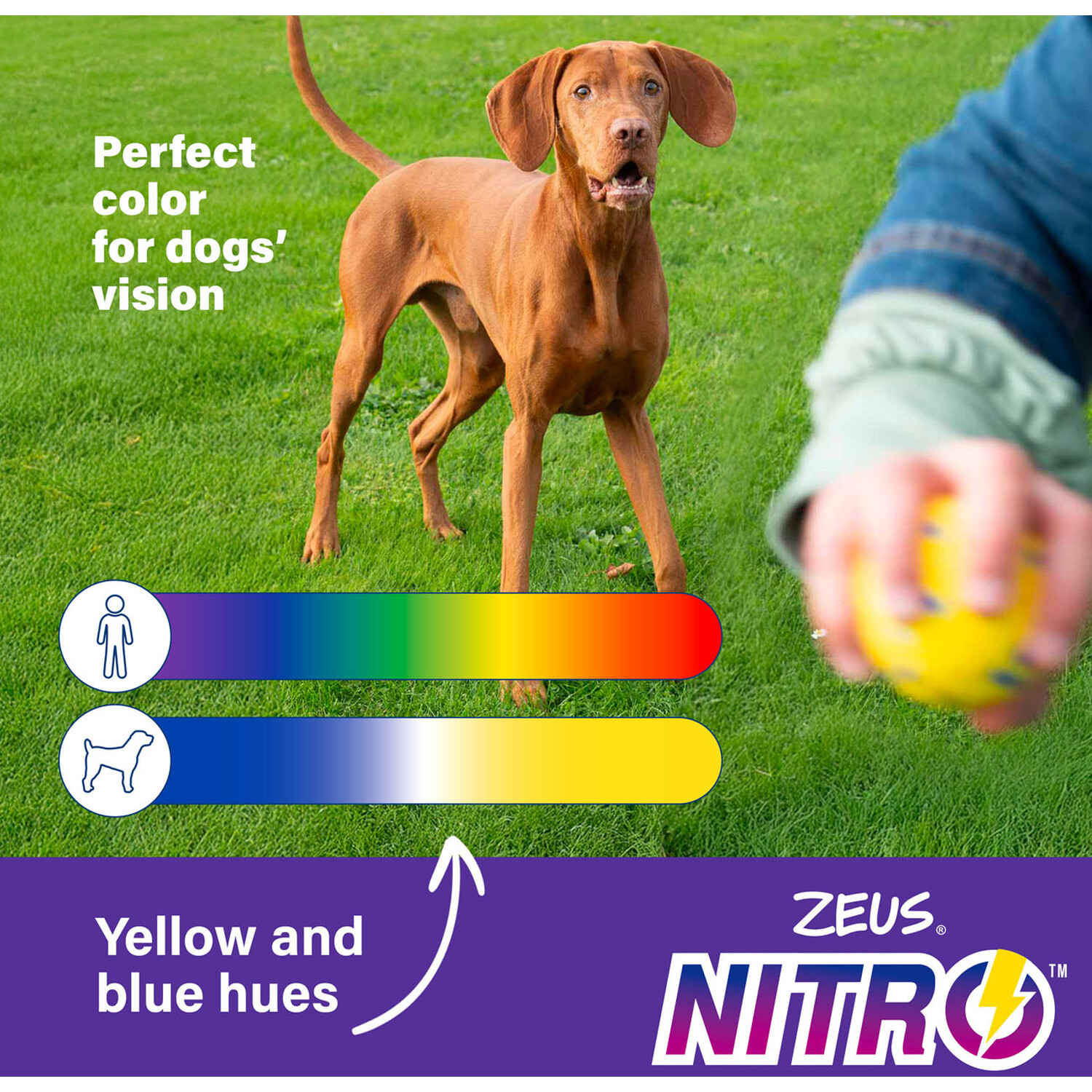 Zeus Nitro Weighted Grip Ball Dog Toy Yellow Image 7
