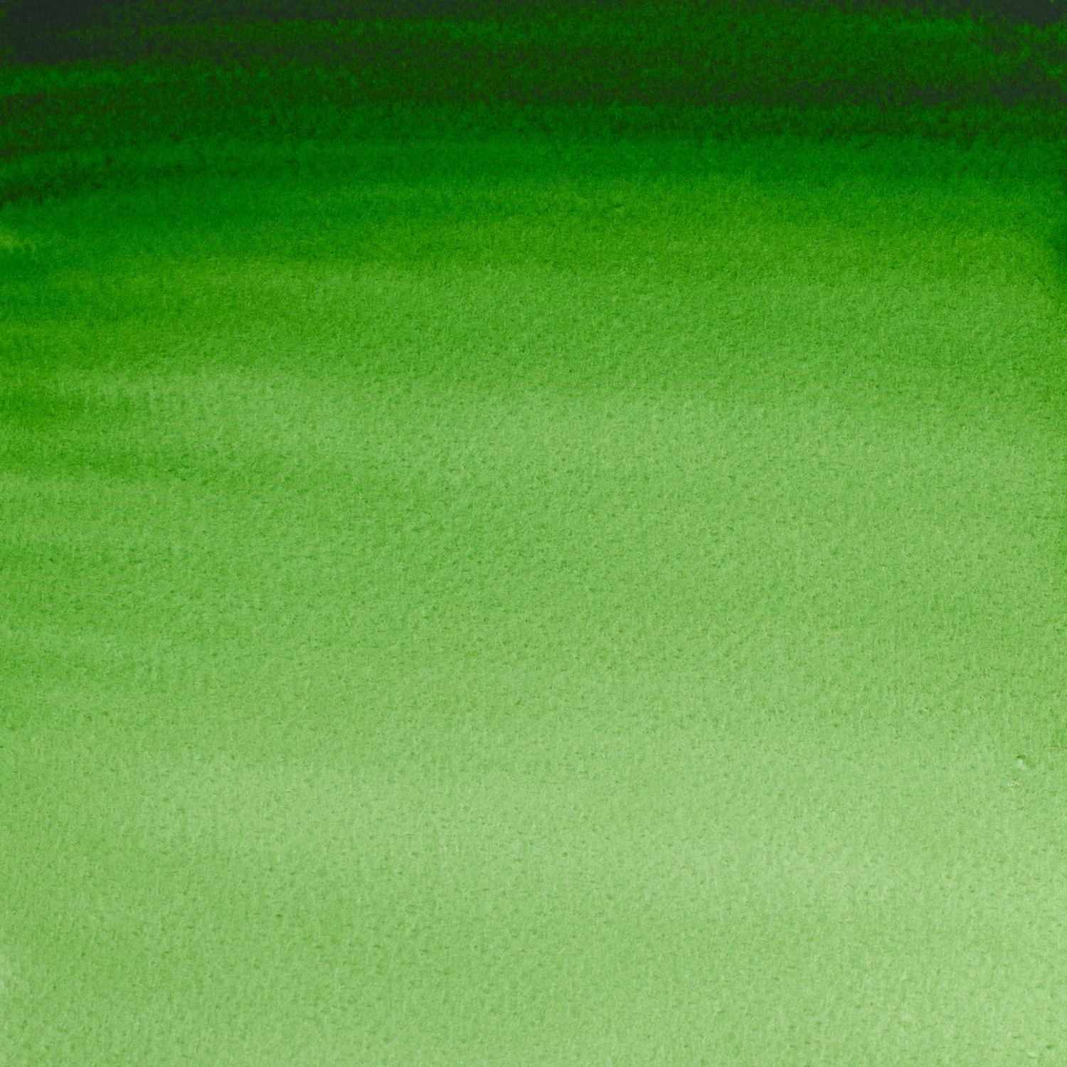 Winsor and Newton 5ml Professional Watercolour Paint - Hookers Green Image 2