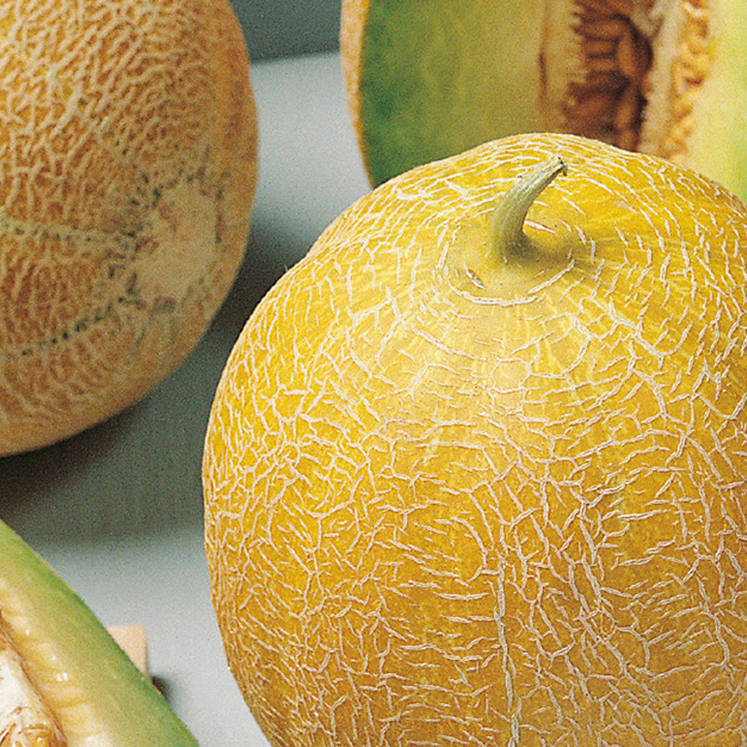 Johnsons Arava F1 Melon Seeds Image 1