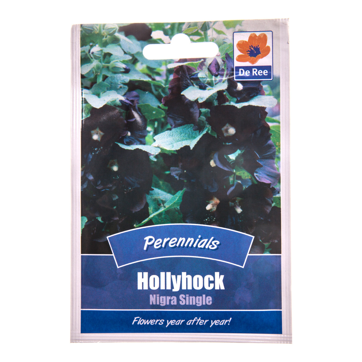Perennial - Hollyhock Nigra Single Image