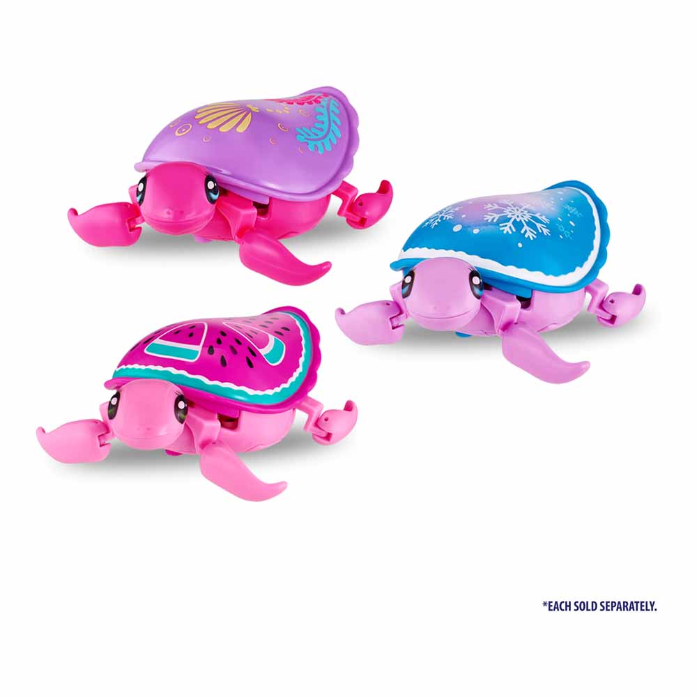Little Live Turtle Wilko