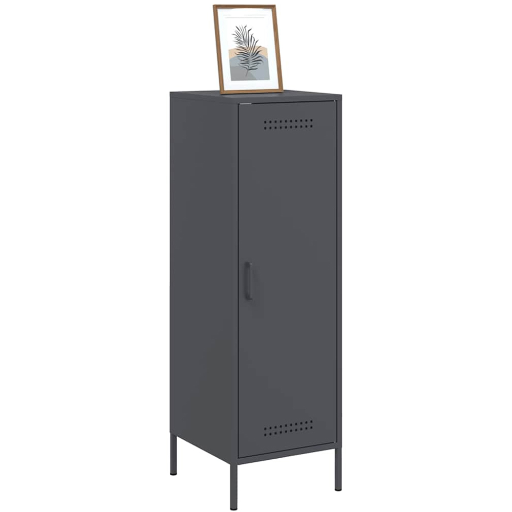 vidaXL Single Door Anthracite Metal Highboard Image 3