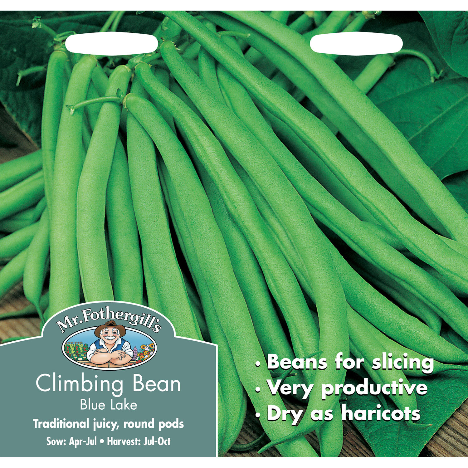 Mr Fothergill's Blue Lake Climbing French Bean Vegetable Seeds Image 2