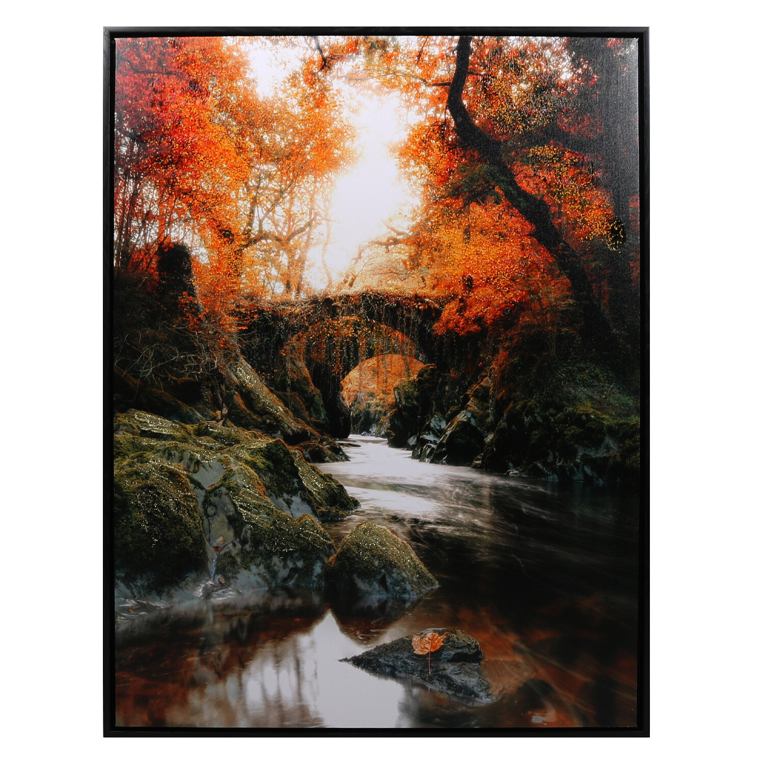 Autumnal Forest Framed Canvas - Orange Image 1