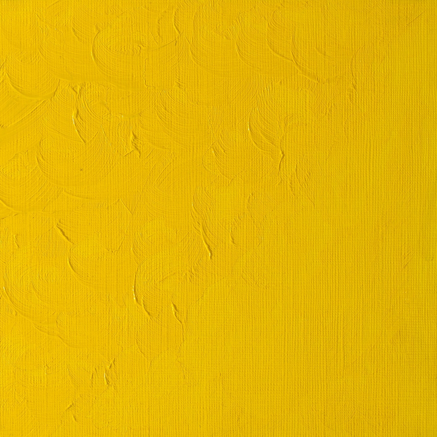 Winsor and Newton Winton Oil Colour Cadmium Yellow Pale Hue Oil Paint Image 2