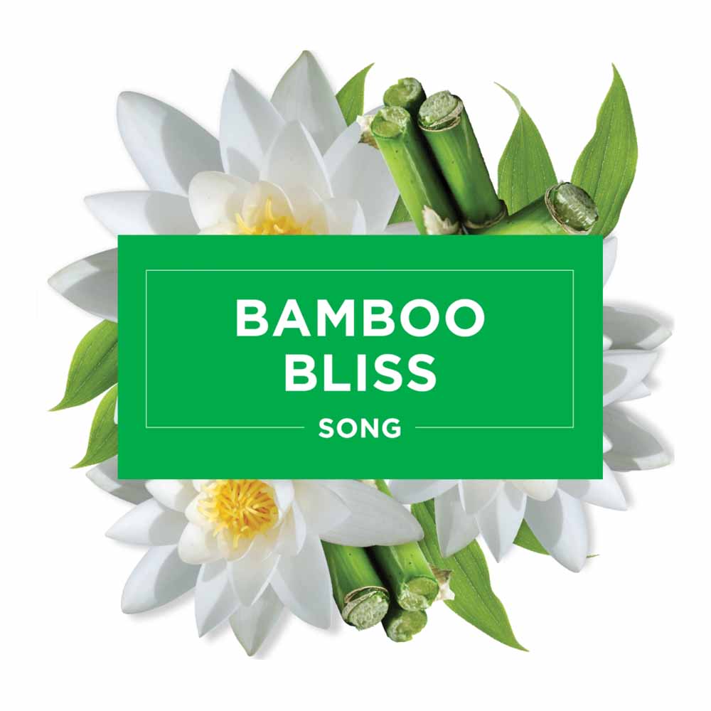 Glade S&S Holder Bamboo Bliss Song Image 7