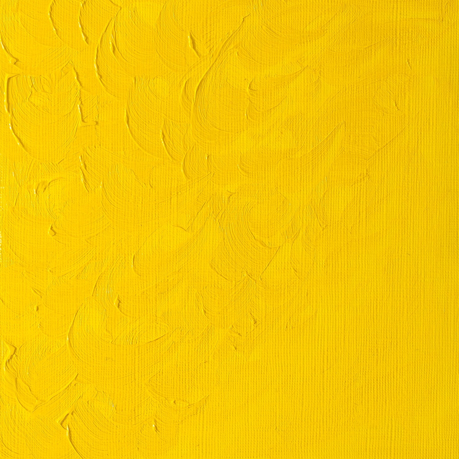 Winsor and Newton 200ml Winton Oil Colours - Chrome Yellow Image 2