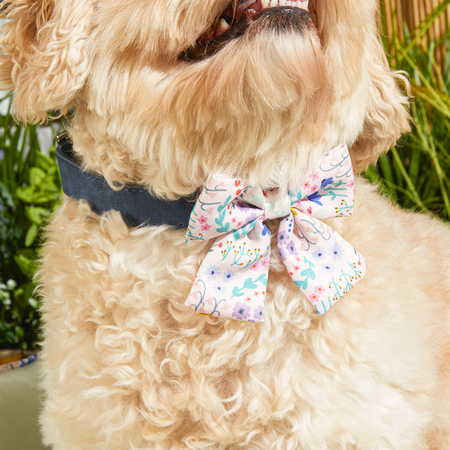 Pack of 3 Wildflower Dog Bows Multicolour Image 3