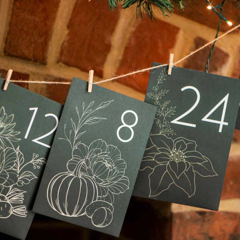 Thompson and Morgan Christmas Gift Vegetables Seed Christmas Gift Advent Calendar Kit Image 6