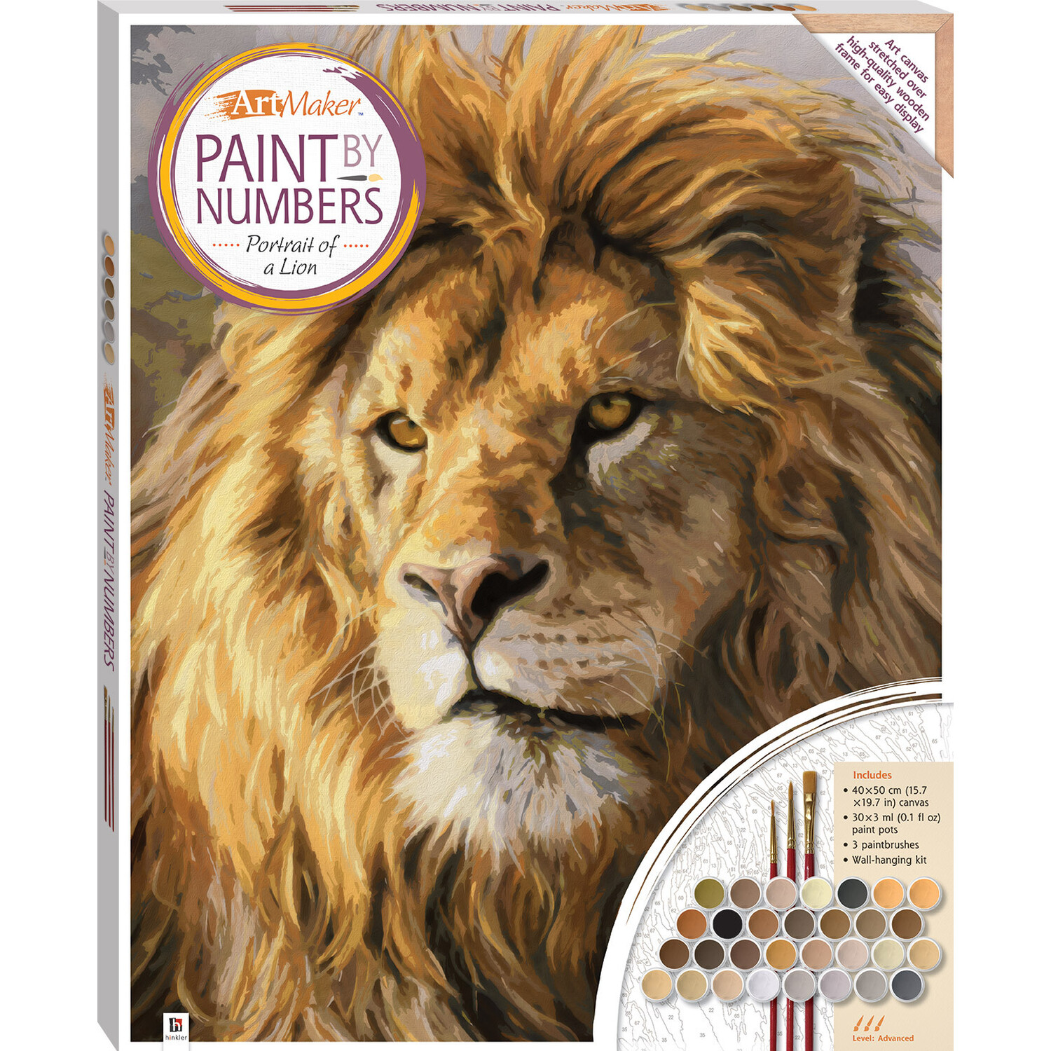 Hinkler Paint by Numbers Lion Canvas Kit Image
