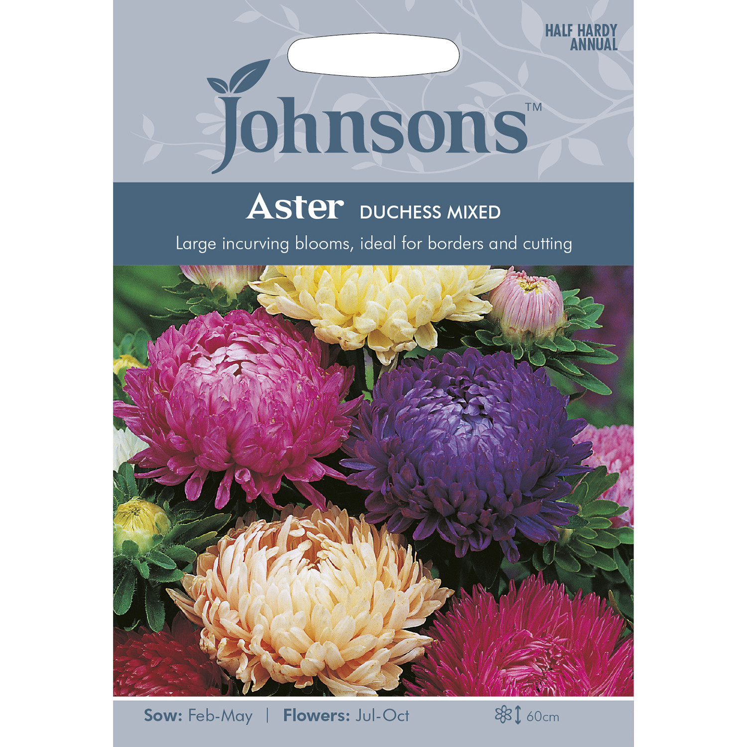 Johnsons Aster Duchess Mixed Flower Seeds Image 2