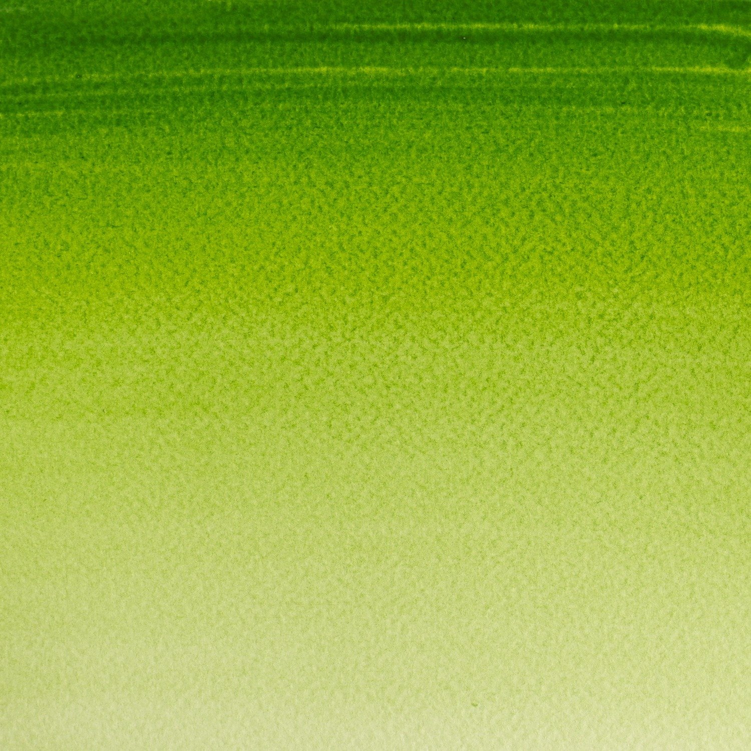 Winsor and Newton Cotman Watercolour Paint 21ml - Sap Green Image 2