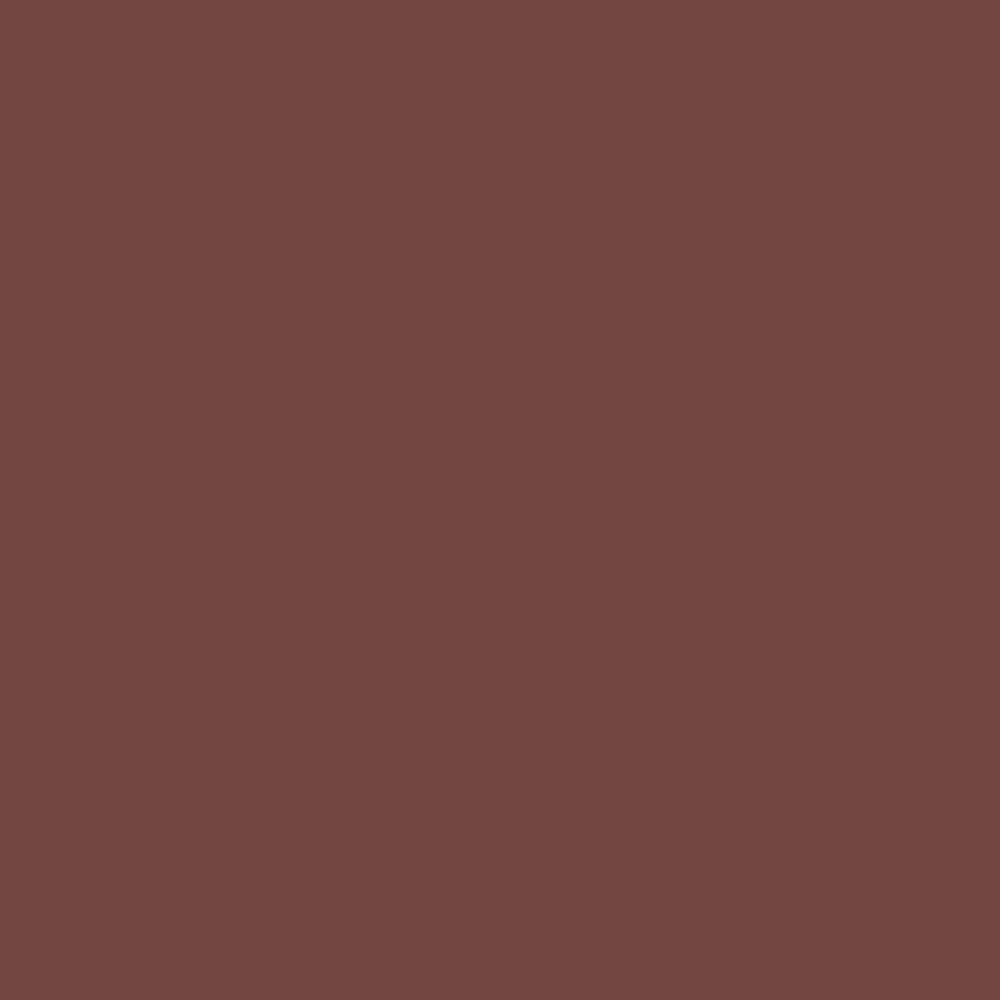 Wilko Brick & Tile Red Matt Paint 500ml Image 5