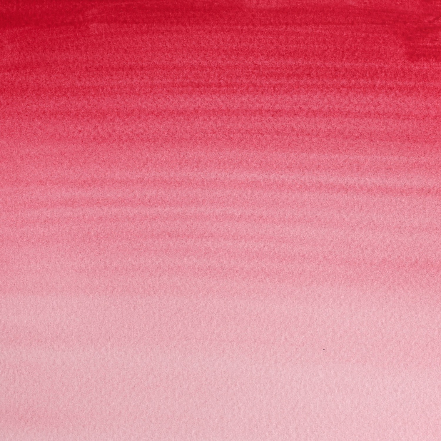 Winsor and Newton Cotman Watercolour Paint - Rose Madder Image 2