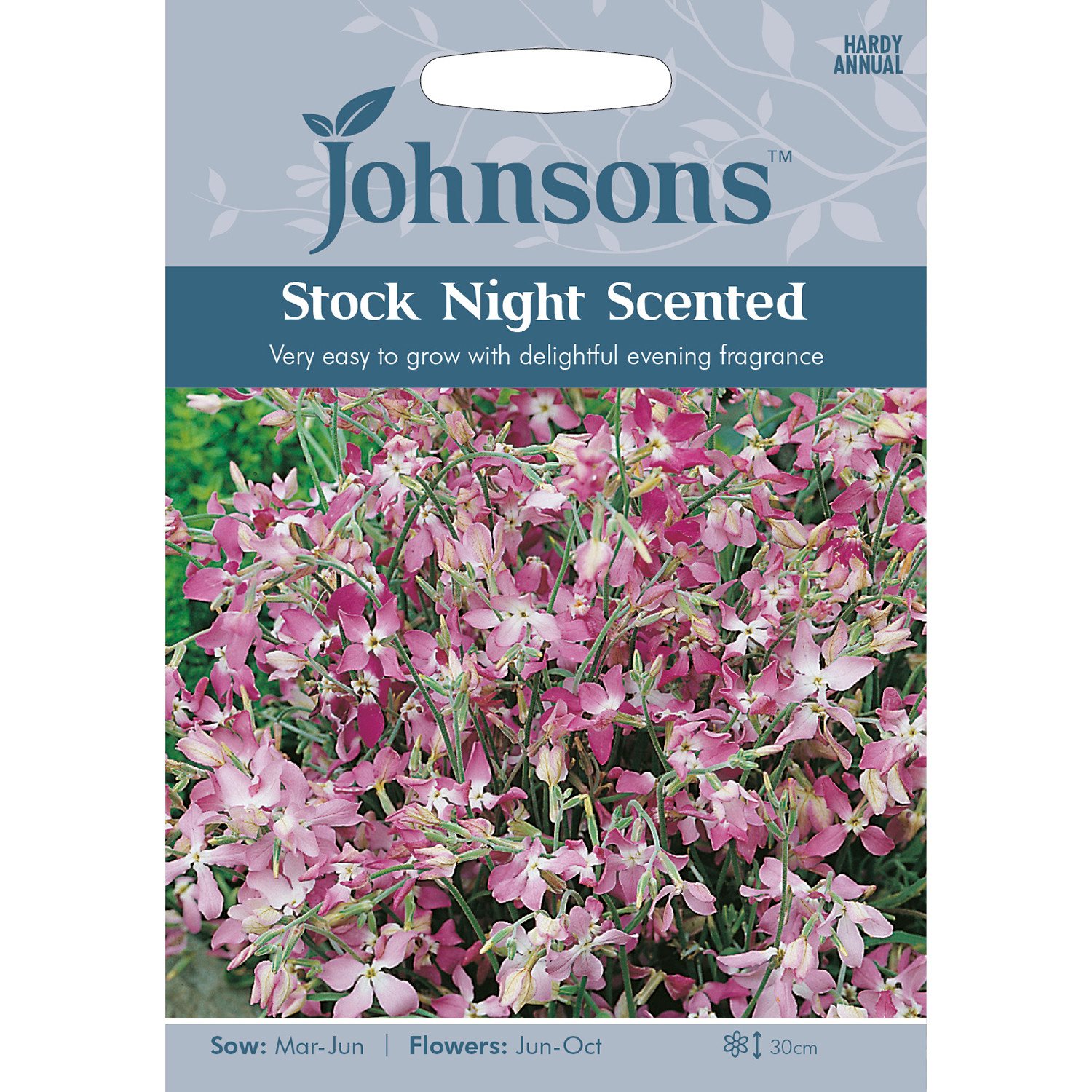 Johnsons Pack of Night Scented Stock Flower Seeds Image 1