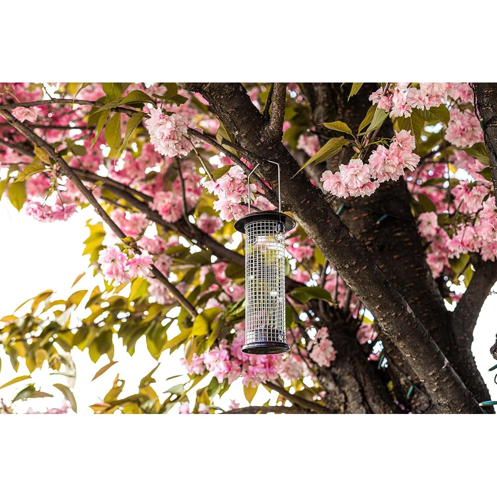 Marco Paul Premium Hammertone Bird Nut Feeder Image 3