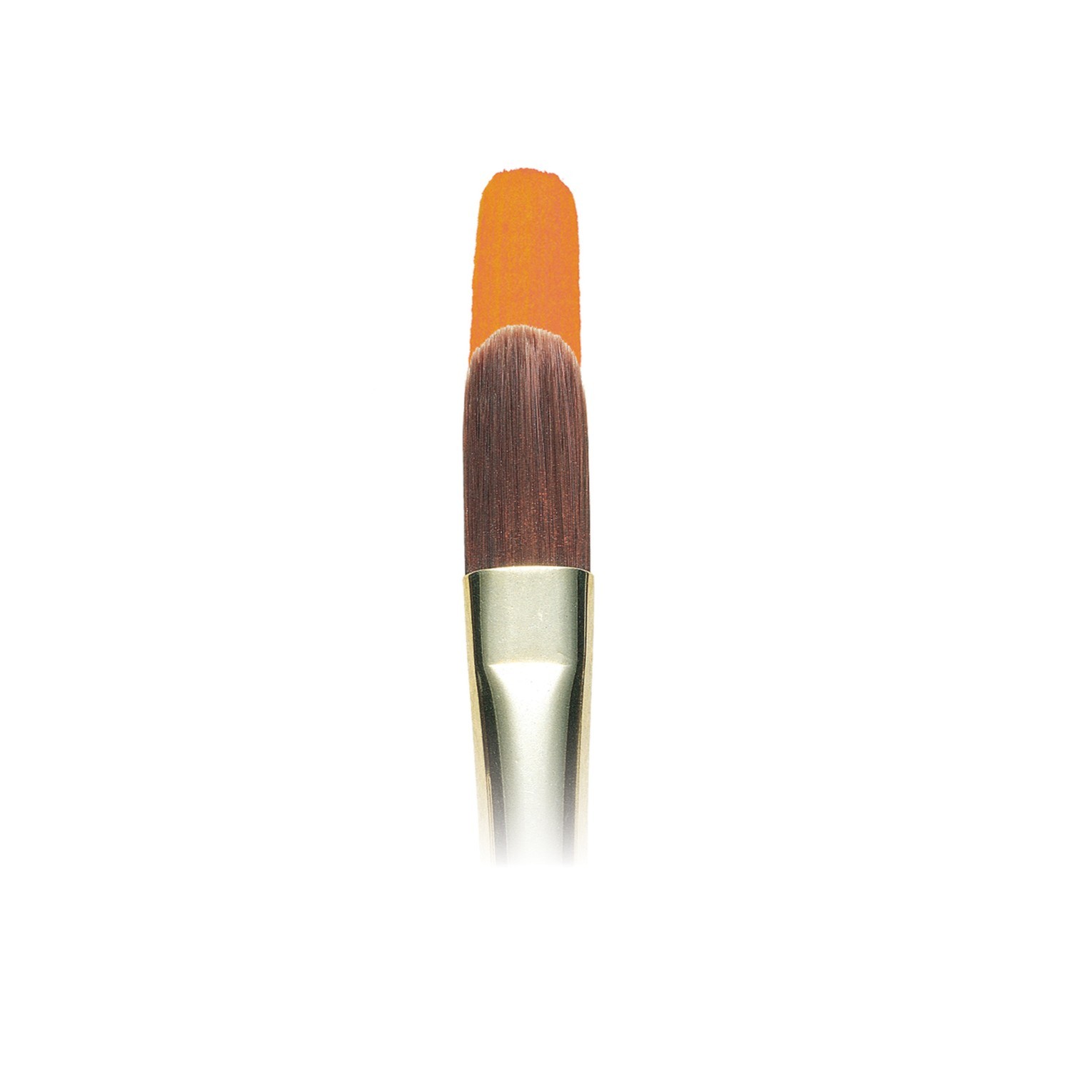 Winsor and Newton Galeria Filbert Brush No. 14 Image 3