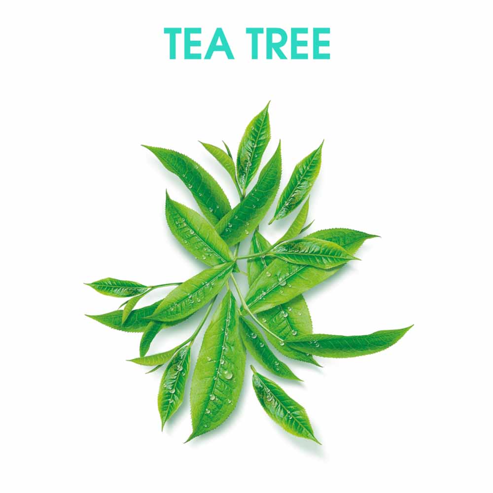 Alberto Balsam Tea Tree Tingle Conditioner 350ml Image 4