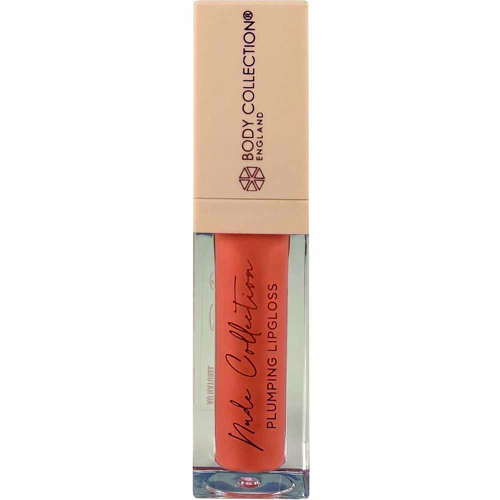 Body Collection Nude Collection Plumping Lipgloss 5ml Image 1
