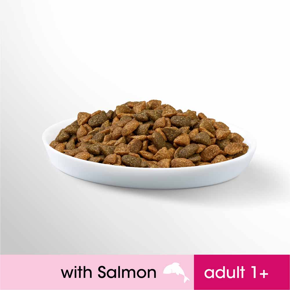 Perfect Fit Advanced Nutrition Salmon Adult Dry Cat Food 2.8kg Image 9