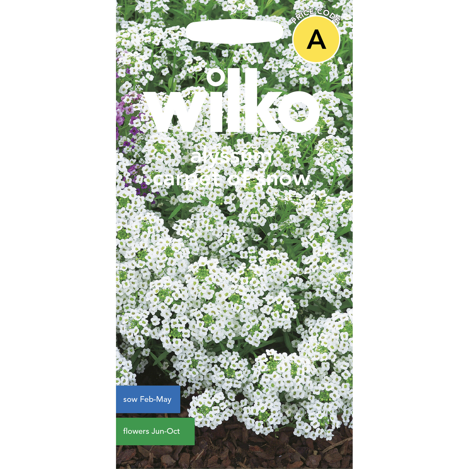 Wilko Alyssum Carpet of Snow Seeds Image 1
