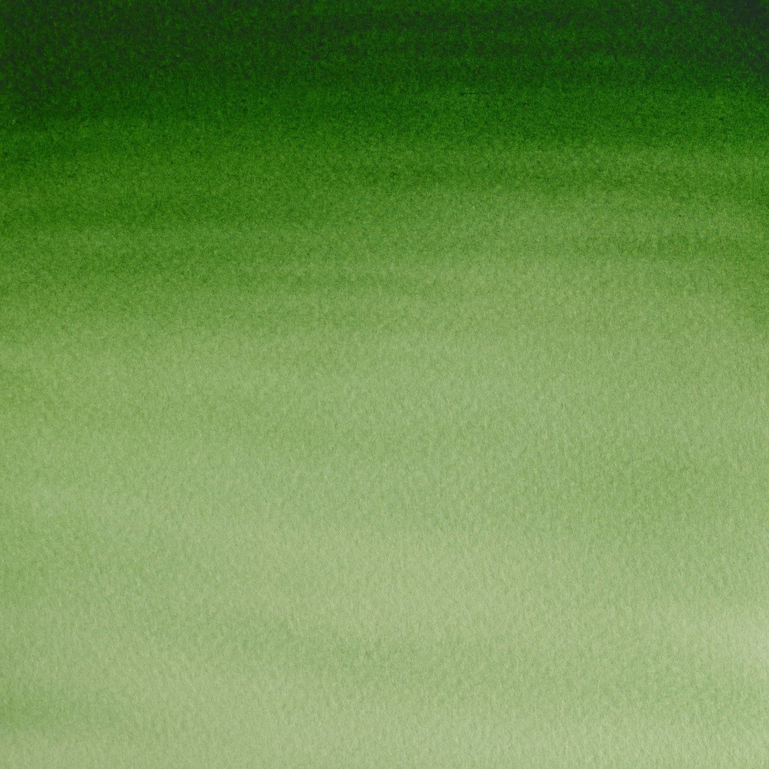 Winsor and Newton Cotman Hookers Light Green Watercolour Paint 8ml Image 2