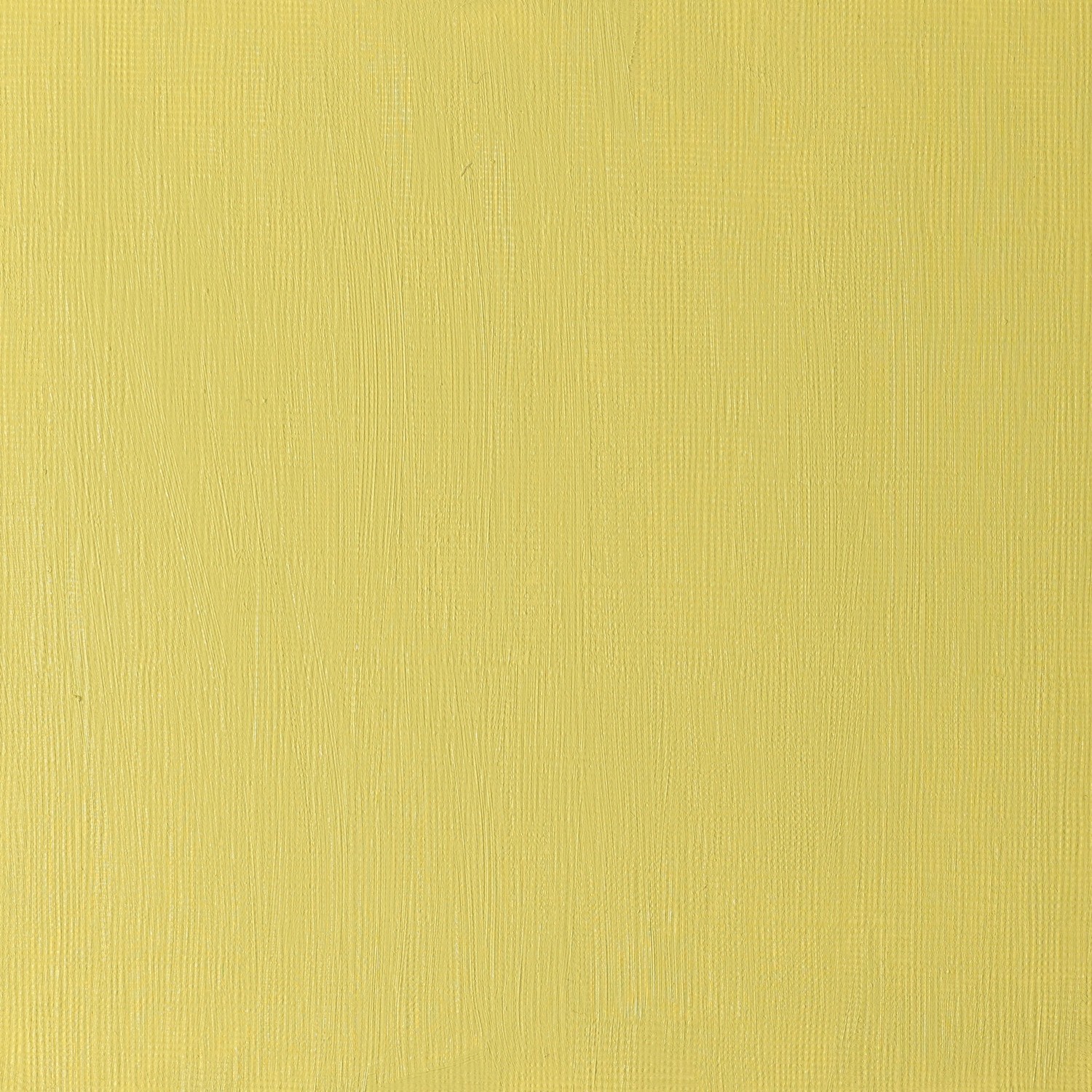 Winsor and Newton 37ml Artists' Oil Colours - Green Gold Image 3