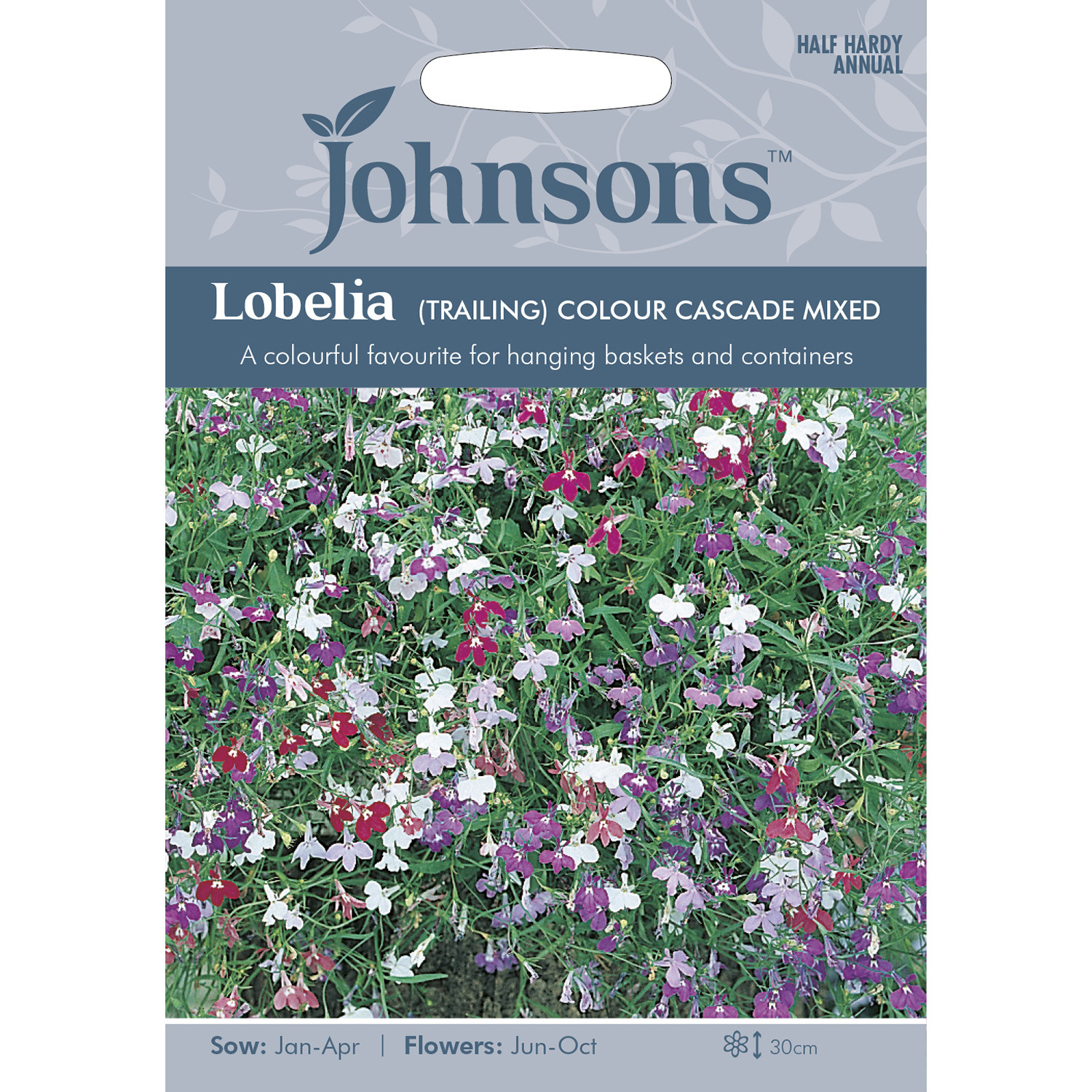 Johnsons Trailing Lobelia Colour Cascade Mixed Flower Seeds Image 2