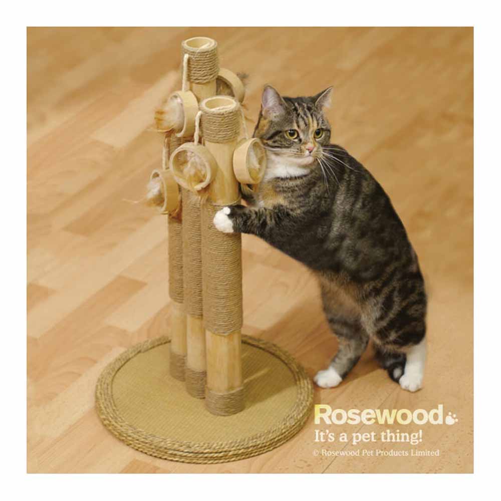 Rosewood Basil Cat Scratching Post Image 2