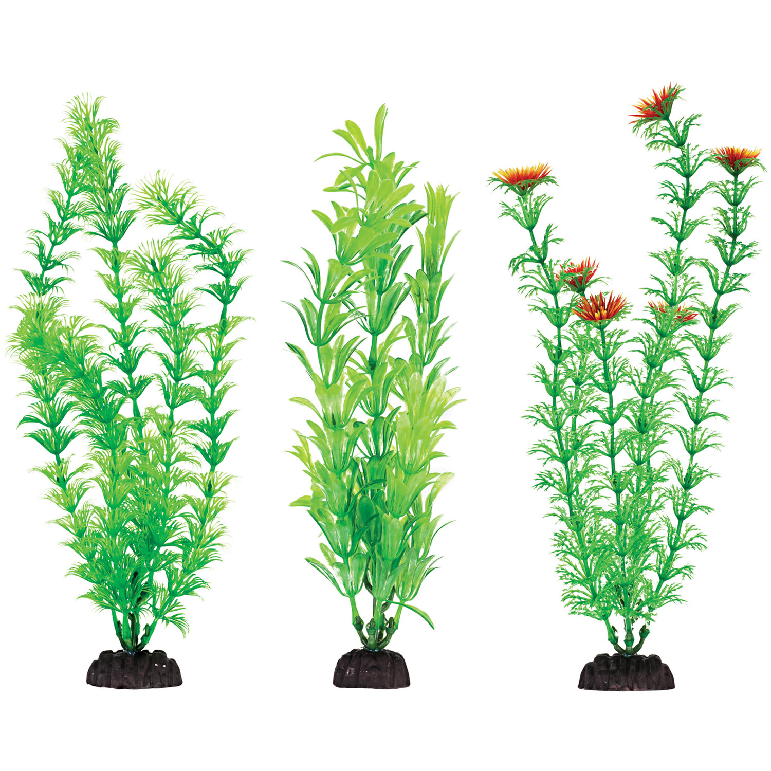 Pack of 6 Aqua Plants Green Image 2