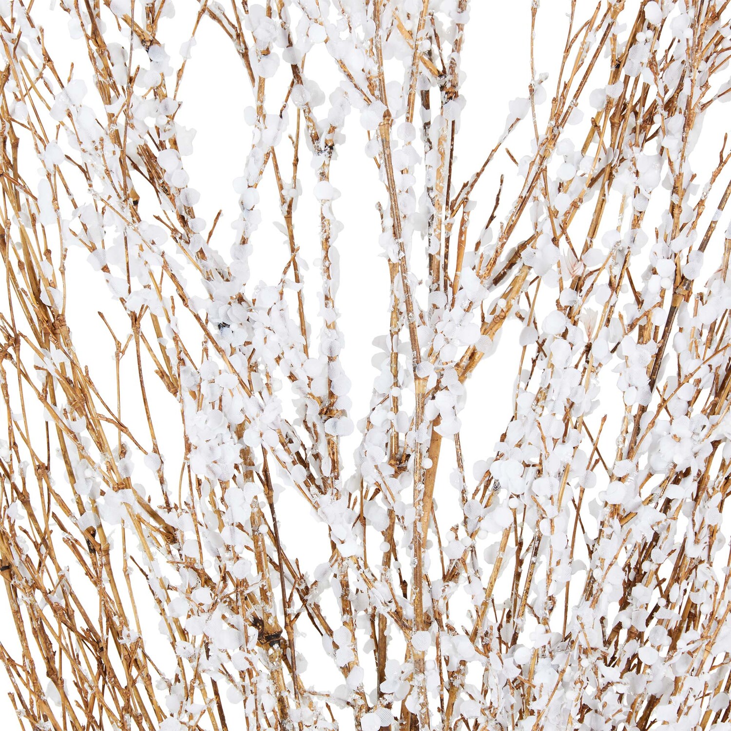 Frosted Confetti Bouquet - Natural Image 3