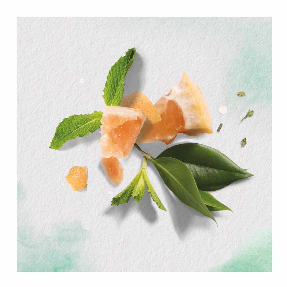 Herbal Essences Bio Renew White Grapefruit and Mosa Mint Conditioner 400ml Image 3