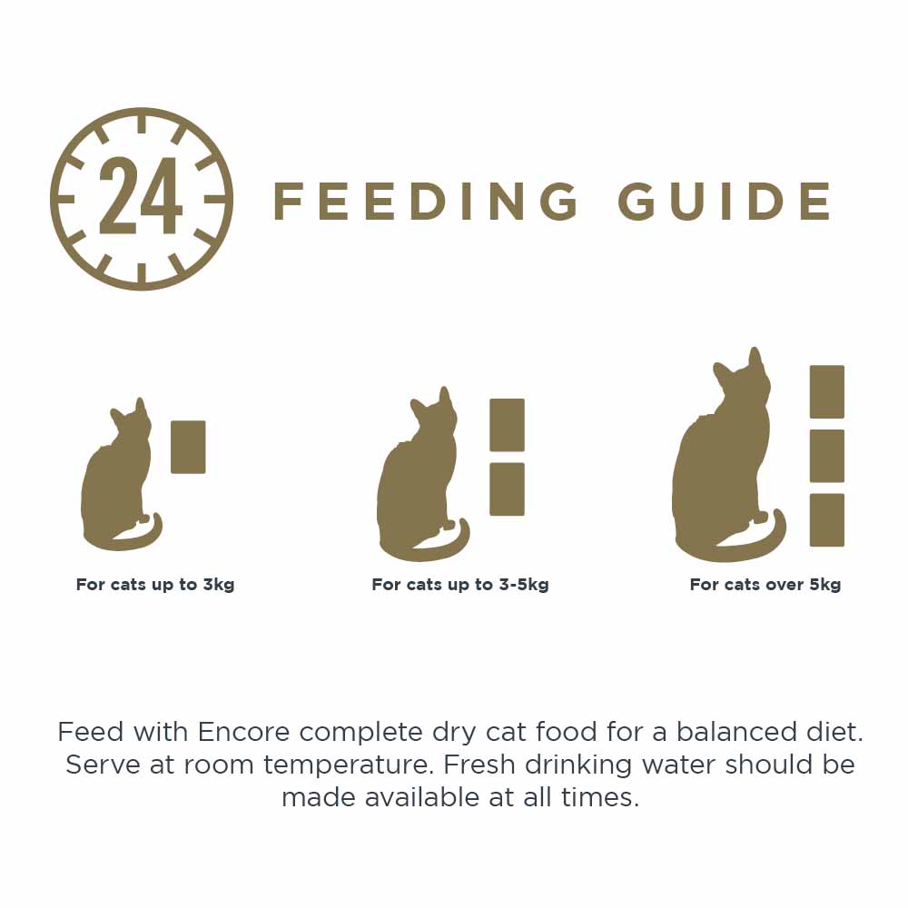 Encore Fish Selection in Jelly Cat Food 5 x 50g Wilko